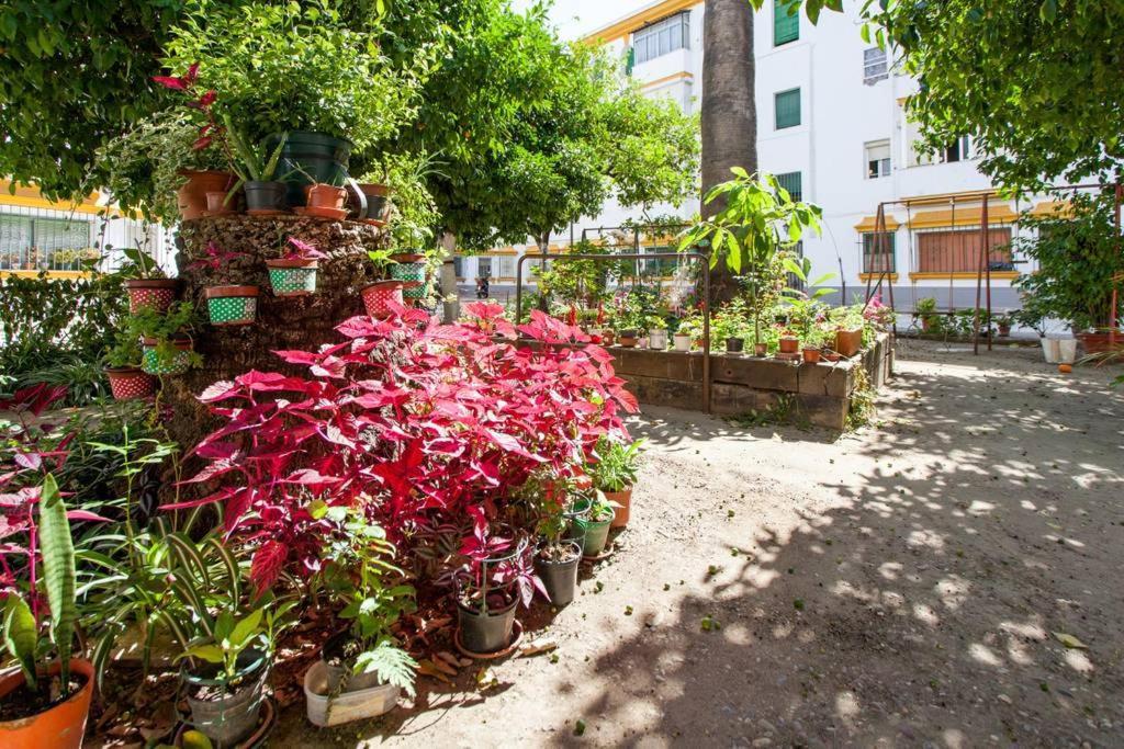 Apartamento A Los Pies Del Alcazar เซบีญา ภายนอก รูปภาพ